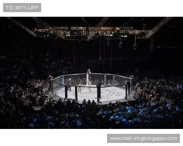 格斗赛事：UFC顶尖对决，燃爆擂台！，ufc争霸赛